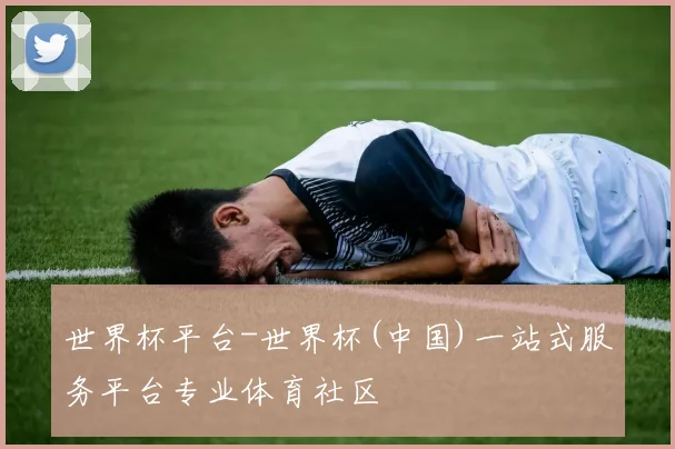 世界杯平台-世界杯(中国)一站式服务平台专业体育社区