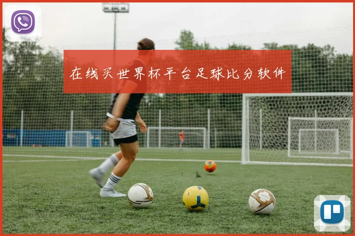 在线买世界杯平台足球比分软件