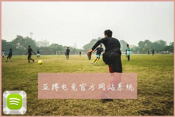 亚搏电竞官方网站系统