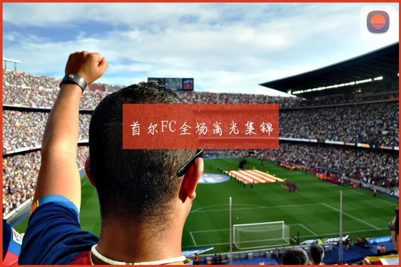 首尔FC全场高光集锦