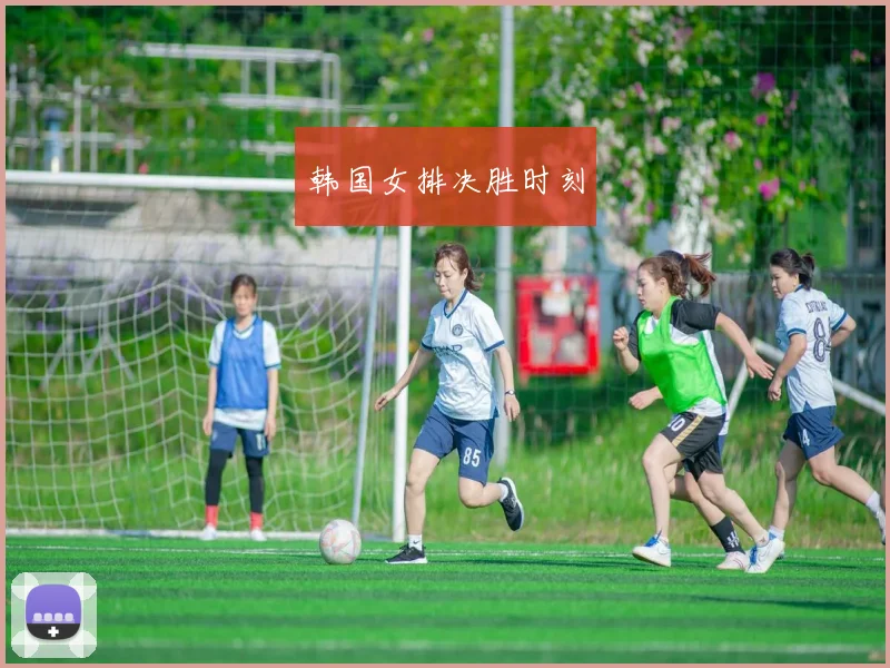 韩国女排决胜时刻