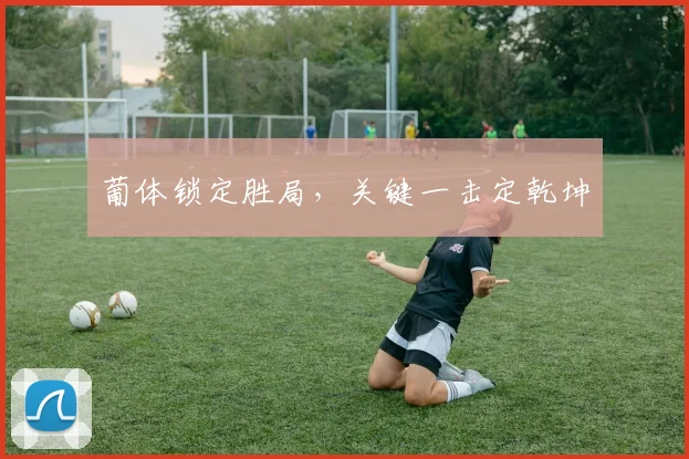 葡体锁定胜局，关键一击定乾坤