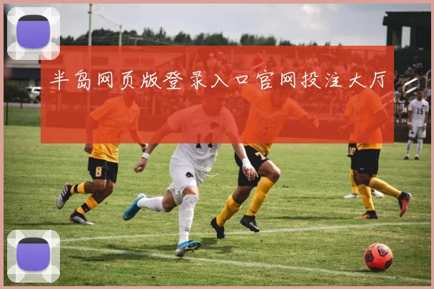 半岛网页版登录入口官网投注大厅