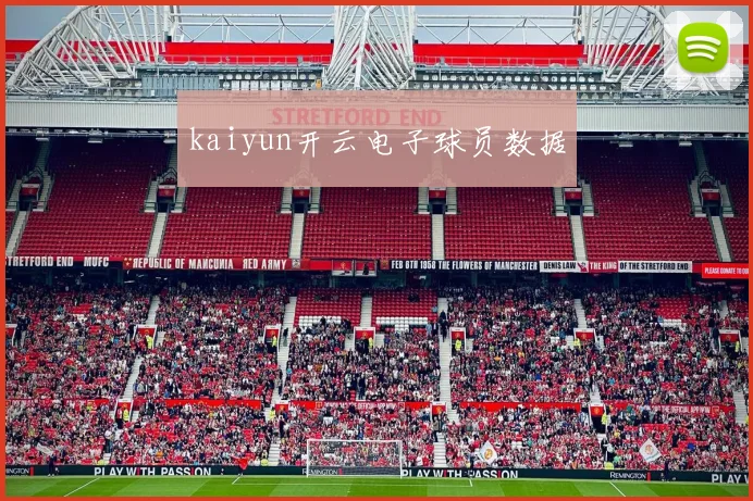kaiyun开云电子球员数据