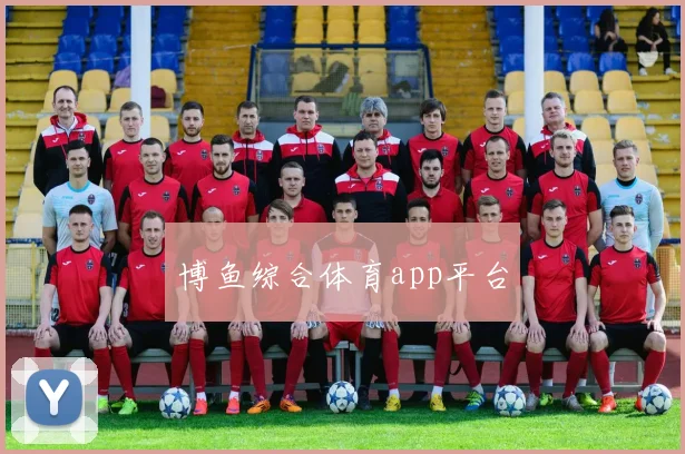 博鱼综合体育app平台