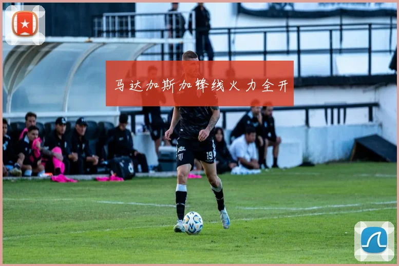 马达加斯加锋线火力全开