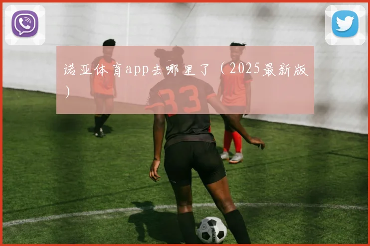 诺亚体育app去哪里了（2025最新版）