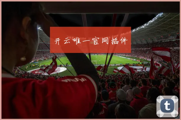 开云唯一官网插件