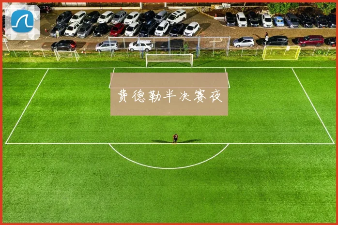 费德勒半决赛夜