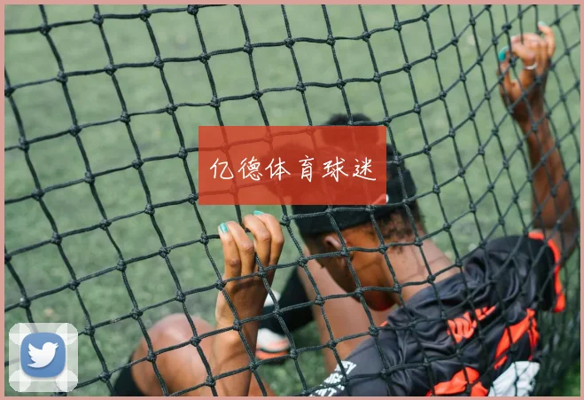 亿德体育球迷
