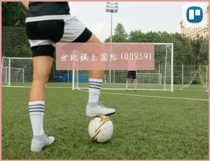 世纪娱乐国际(00959)