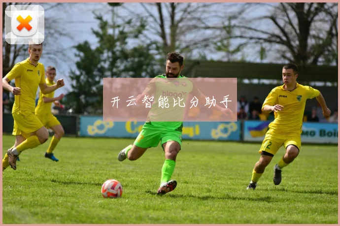 开云智能比分助手