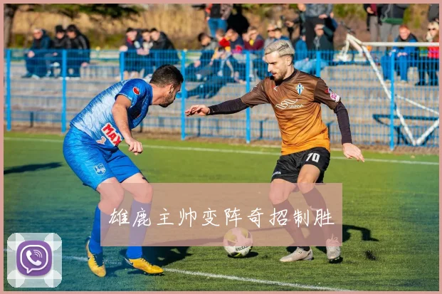 雄鹿主帅变阵奇招制胜