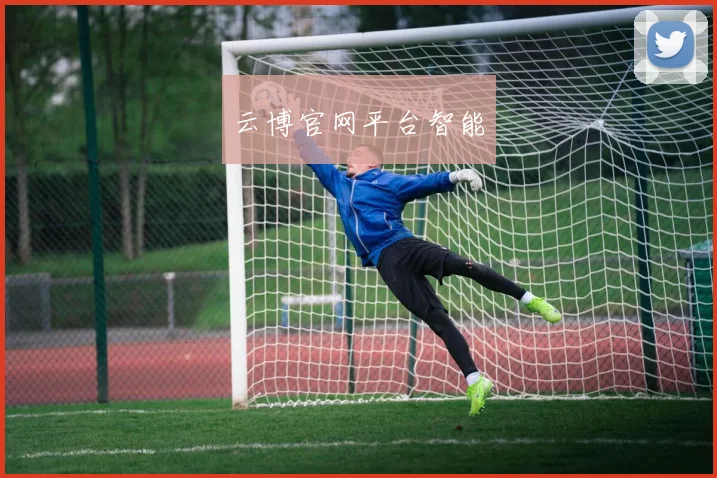云博官网平台智能