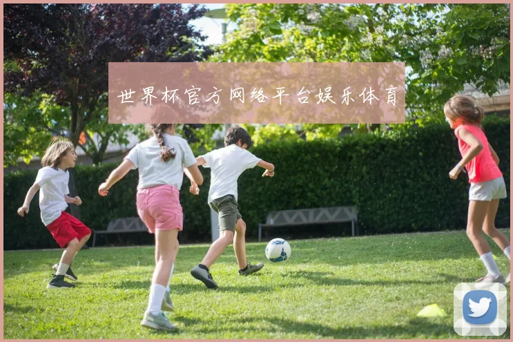世界杯官方网络平台娱乐体育