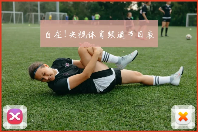 自在!央视体育频道节目表
