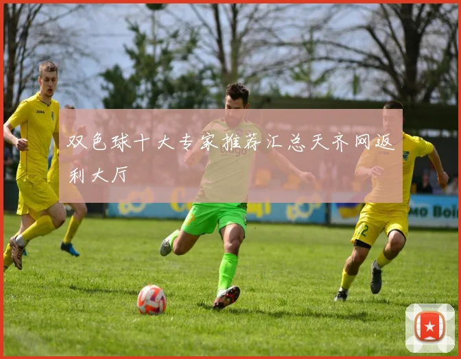 双色球十大专家推荐汇总天齐网返利大厅