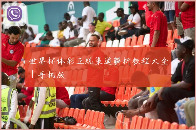 世界杯体彩正规渠道解析教程大全｜手机版