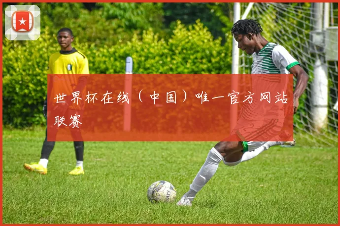 世界杯在线（中国）唯一官方网站联赛