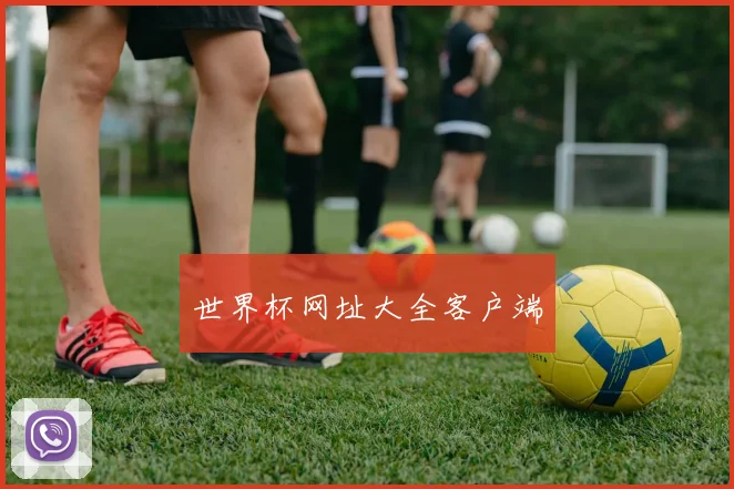 世界杯网址大全客户端