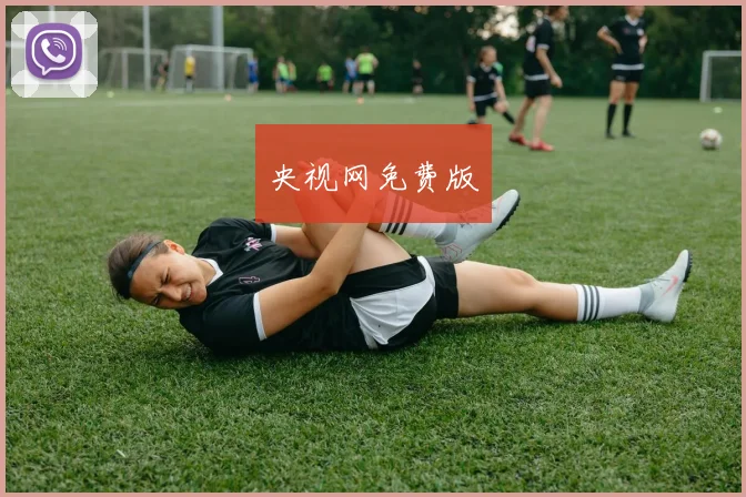 央视网免费版
