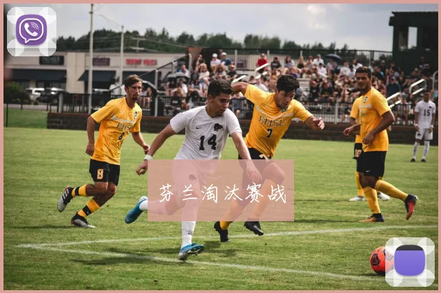 芬兰淘汰赛战