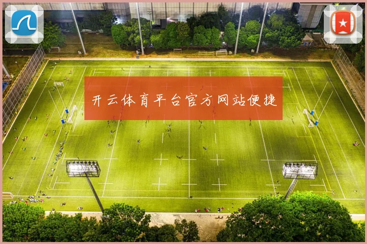开云体育平台官方网站便捷