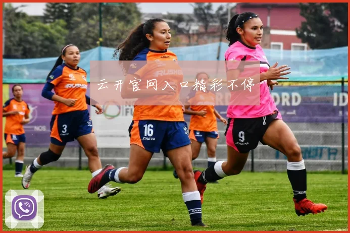 云开官网入口精彩不停