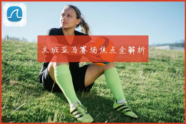 文班亚马赛场焦点全解析
