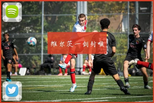 维尔茨一剑封喉