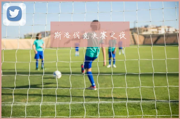 斯洛伐克决赛之夜