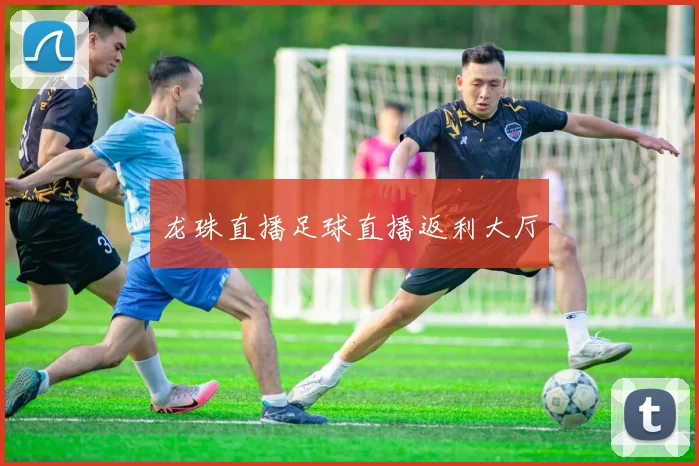 龙珠直播足球直播返利大厅