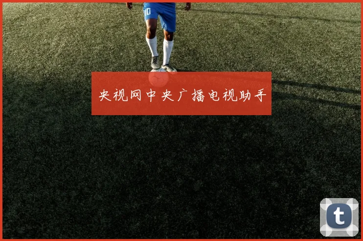 央视网中央广播电视助手