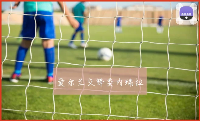 爱尔兰交锋委内瑞拉