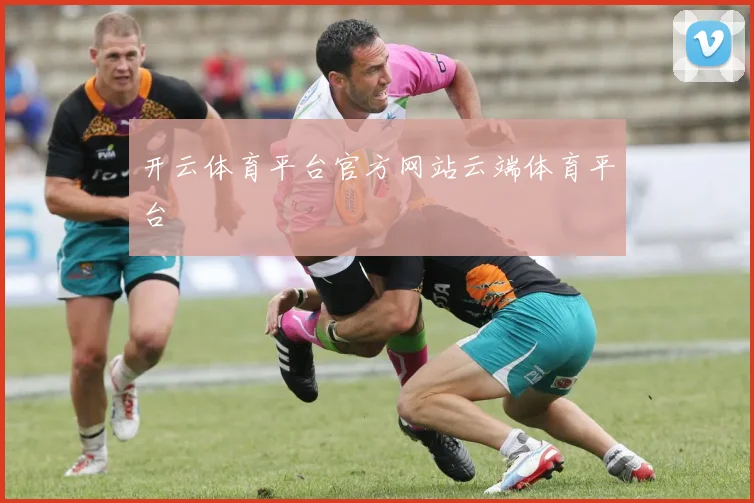 开云体育平台官方网站云端体育平台