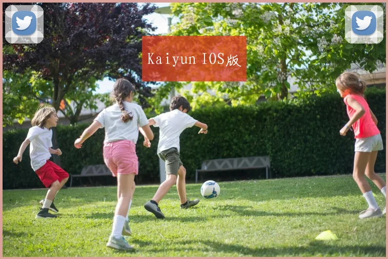 Kaiyun IOS版