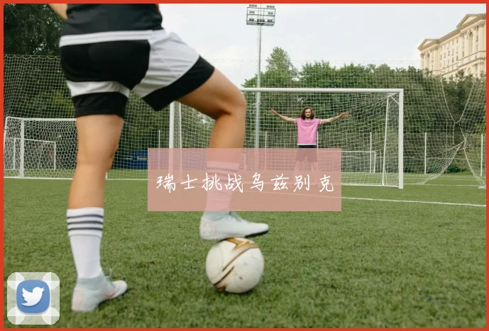 瑞士挑战乌兹别克