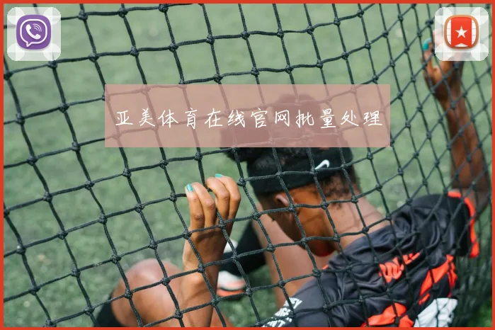 亚美体育在线官网批量处理