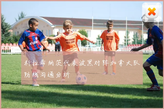 科拉希纳茨代表波黑对阵加拿大队防线沟通分析
