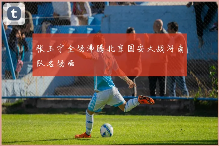 张玉宁全场沸腾北京国安大战河南队名场面