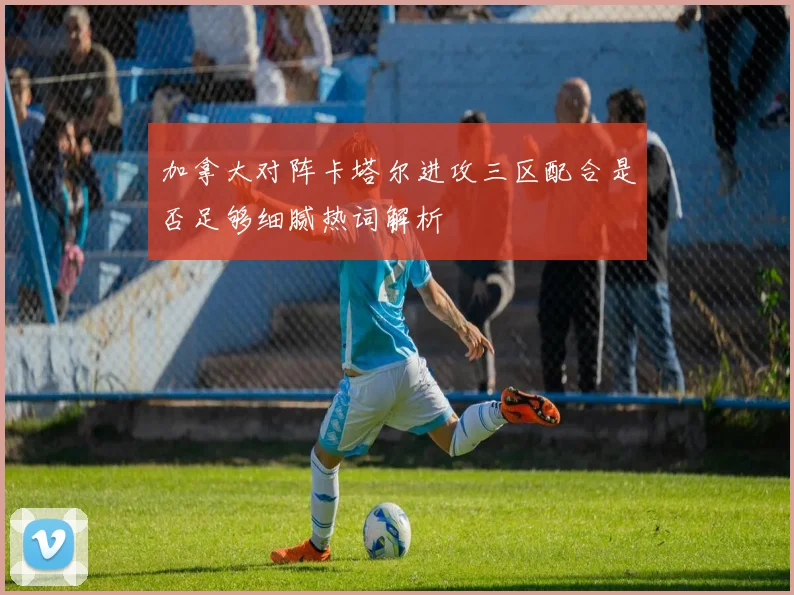 加拿大对阵卡塔尔进攻三区配合是否足够细腻热词解析