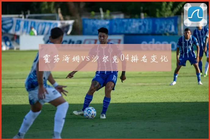 霍芬海姆vs沙尔克04排名变化