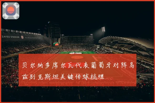 贝尔纳多席尔瓦代表葡萄牙对阵乌兹别克斯坦关键传球梳理