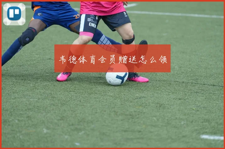 韦德体育会员赠送怎么领