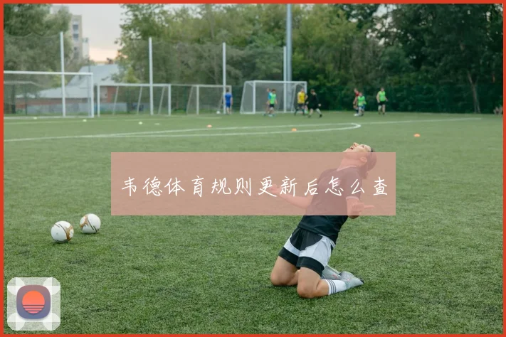 韦德体育规则更新后怎么查