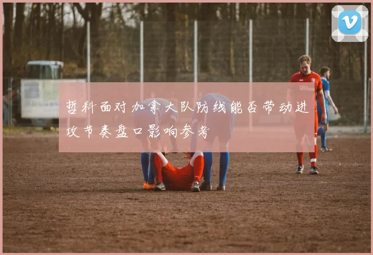 哲科面对加拿大队防线能否带动进攻节奏盘口影响参考