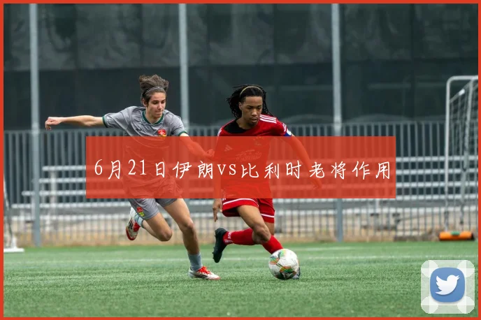 6月21日伊朗vs比利时老将作用