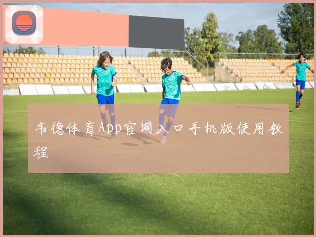 韦德体育App官网入口手机版使用教程